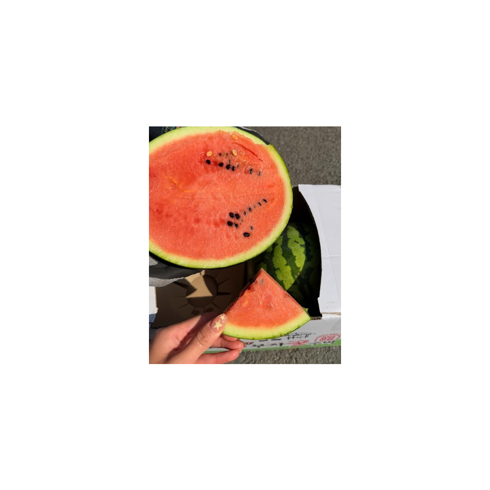 (정품)하우스 수박